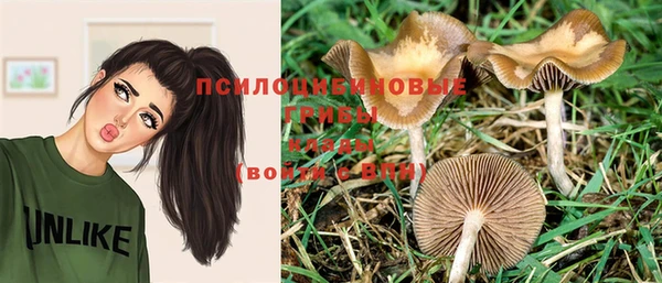 не бодяженный Вязники